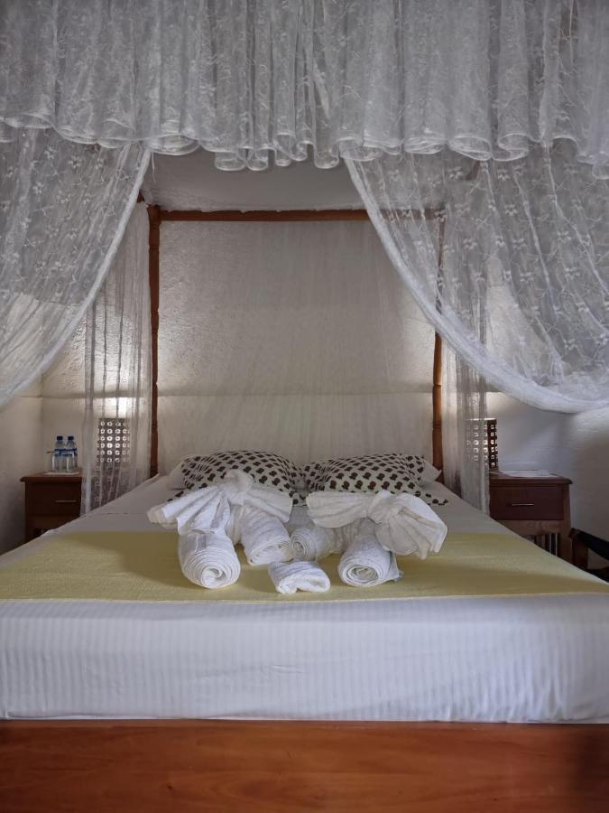 San Simian Lodge La Laguna エクステリア 写真
